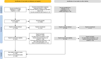 DNA and RNA vaccines against tuberculosis: a scoping review of human and animal studies